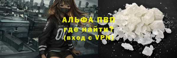 спиды Богданович