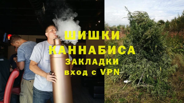 спиды Богданович