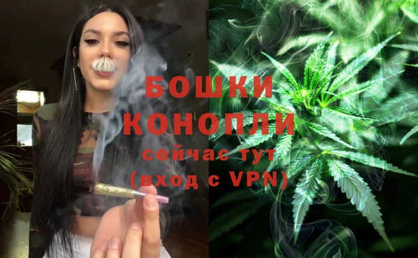 эйфоретик Богородск