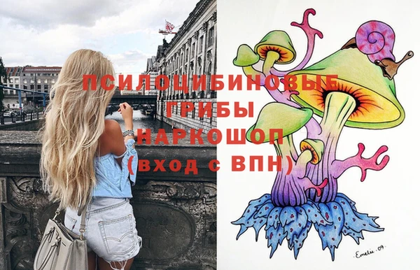 эйфоретик Богородск