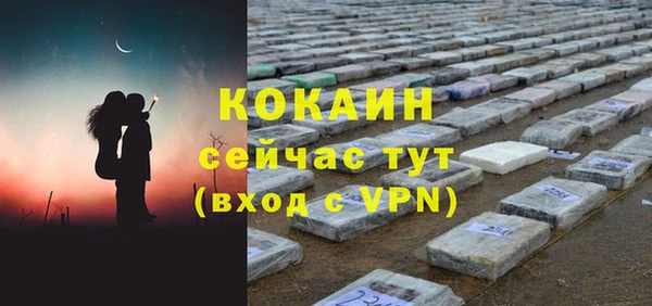 спиды Богданович