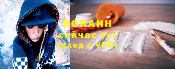 спиды Богданович